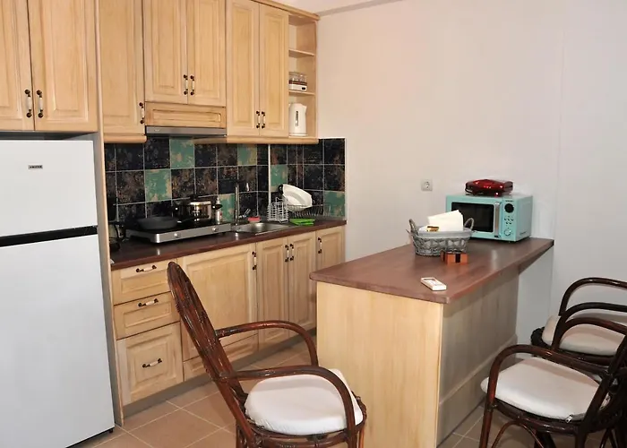 Apartament Dominique Meteora House *