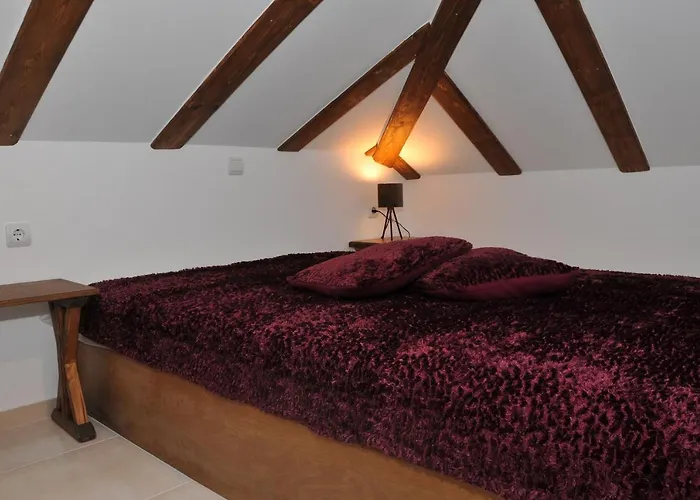 Dominique Meteora House *